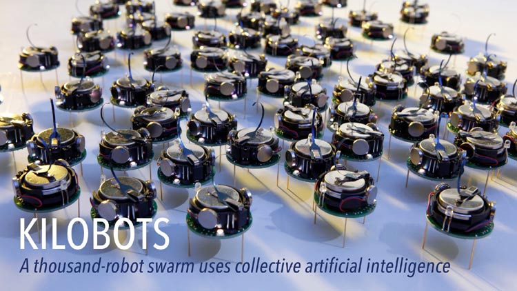 Introduction to Swarm Robotics