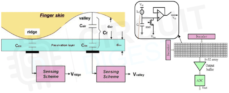 Capacitive Fingerprint Sensor