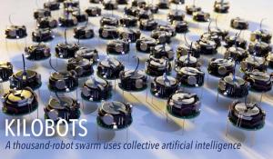 Introduction to Swarm Robotics