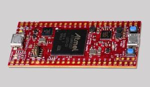 Jupiter Nano Development Board 