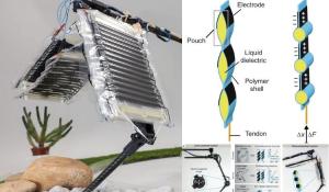 Electrohydraulic Muscles Redefine Robotics with Animal-Like Agility